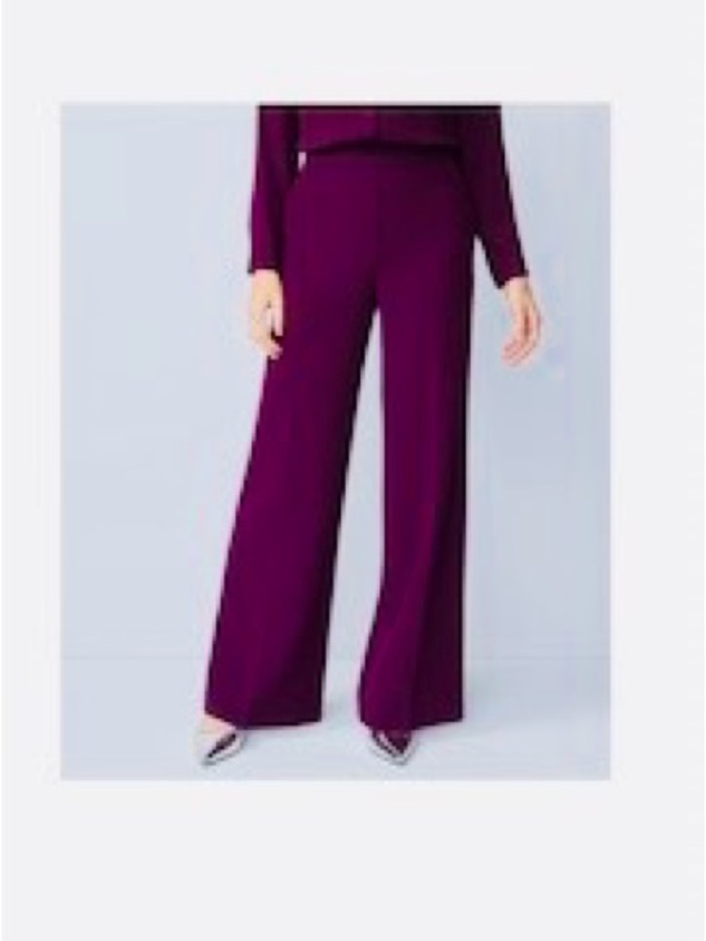 Ann Taylor Wide-Leg Pants in Plum